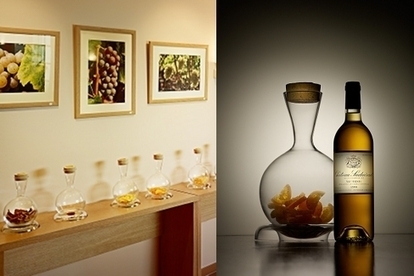 Les images & infos du vin | Images et infos du monde viticole | Scoop.it