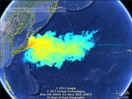 NHK WORLD French | News Tepco va recouvrir de ciment le fond marin pr&egrave;s de la centrale de Fukushima | FUKUSHIMA INFORMATIONS | Scoop.it