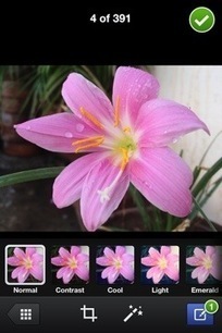 Facebook Camera: New iOS Stand-alone Camera App&nbsp;[REVIEW] | iPhones and iThings | Scoop.it