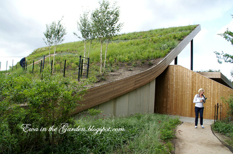 Ewa in the Garden: 8 photos of most impressive green roof building at Floriade 2012 | Eco-friendly roofs:  green, white, and garden | Scoop.it