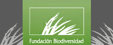 16 enero 2012 21:08:00 Ecologistas dicen que envenenamiento de 6 &aacute;guilas es el m&aacute;s grave en 20 a&ntilde;os / Noticias / Contenidos / Inicio - EFE Verde | :: Kraken's Hiperdrive Express :: | Scoop.it