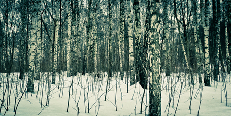 Rare Moments of Absolute Tranquility | Photo-reportage | Scoop.it