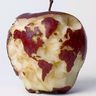Geography Education