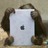 BYOD in Business