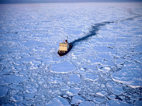 Simon Darby: Saturday Morning Icebreaker | The Indigenous Uprising of the British Isles | Scoop.it
