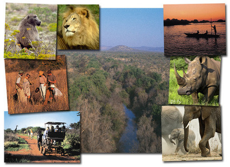 Involving the Tourism Sector in Biodiversity Conservation Planning | Lorton Consulting | Financing Nature Conservation | Scoop.it