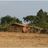 Climate Smart Agriculture