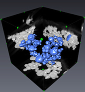 New Modeling Approach Transforms Imaging Technologies | Complex Insight  - Understanding our world | Scoop.it
