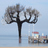 L'arbre philosophe