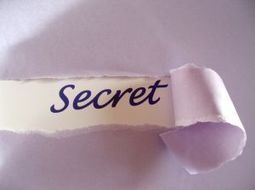 3 Incredibly Simple Ways to Brilliant Presentations | EDUCAUSE Speaker Concierge | Scoop.it