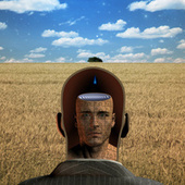 10 of the Most Surprising Findings from Psychological Studies | The brain and illusions | Scoop.it