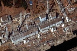 Pas de catastrophe sanitaire &agrave; Fukushima ! | Environnement et Nucl&eacute;aire "Autrement" | Scoop.it