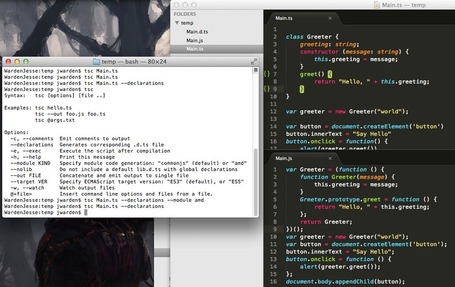 TypeScript for ActionScript Developers | Software Consultant &ndash; Jesse Warden | Everything about Flash | Scoop.it