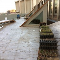 Project Breakdown: SUNY ESF | Recover Green Roofs | Vertical Farm - Food Factory | Scoop.it