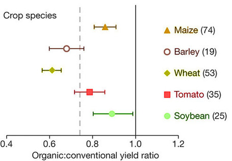L&rsquo;agricoltura biologica non sfamer&agrave; il mondo &ndash; Scienza in cucina - Blog - Le Scienze | The Matteo Rossini Post | Scoop.it