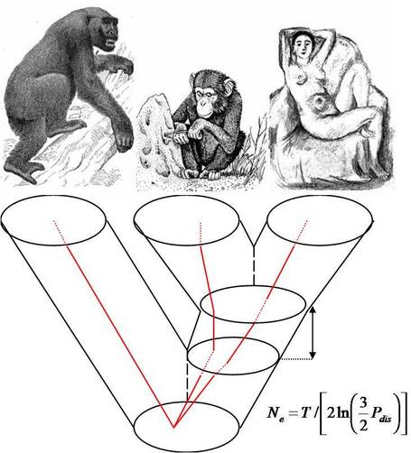 La g&eacute;n&eacute;tique au service de l&rsquo;histoire Les flux migratoires des populations r&eacute;v&eacute;l&eacute;s gr&acirc;ce &agrave; l&rsquo;ADN dentaire | Merveilles - Marvels | Scoop.it