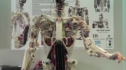 World&rsquo;s First Robot With Artificial Human Bones And Muscles - DesignTAXI.com | Man and Machine | Scoop.it