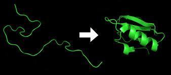 Dec 15, 2009. Their residue substitution experiments also showed that the abundance of  aspartic acid and glutamic acid characteristics of halophilic proteins.