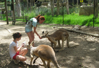 8 Family Tips for Extended Trips | Travel News from Fodor's Travel Guides | Travel tips | Scoop.it