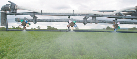 Concerns grow about GM crops and glyphosate causing disease...in humans | YOUR FOOD, YOUR HEALTH: Latest on BiotechFood, GMOs, Pesticides, Chemicals, CAFOs, Industrial Food | Scoop.it