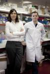 First gene therapy successful against aging-associated decline: Mouse lifespan extended up to 24% with a single treatment | Psychology and Brain News | Scoop.it