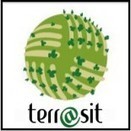 Informe redes sociales Terrasit 2014