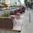 Urban Landscape: science, practice and design.