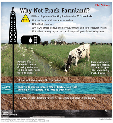 A Delusion of Fossil Fuel Addiction: Chemically "Fracking" Our Food and Water Supply | YOUR FOOD, YOUR HEALTH: Latest on BiotechFood, GMOs, Pesticides, Chemicals, CAFOs, Industrial Food | Scoop.it