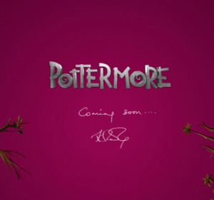 Pottermore: YA Ebooks Are About to Take Off | Brendan Gannon | Writing and reading fiction | Scoop.it