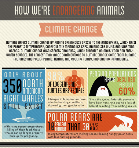 Celebrate Earth Day 2012 | Certification Map | green infographics | Scoop.it
