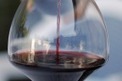 Bient&ocirc;t du vin li&eacute;geois sur nos tables | Articles Vins | Scoop.it