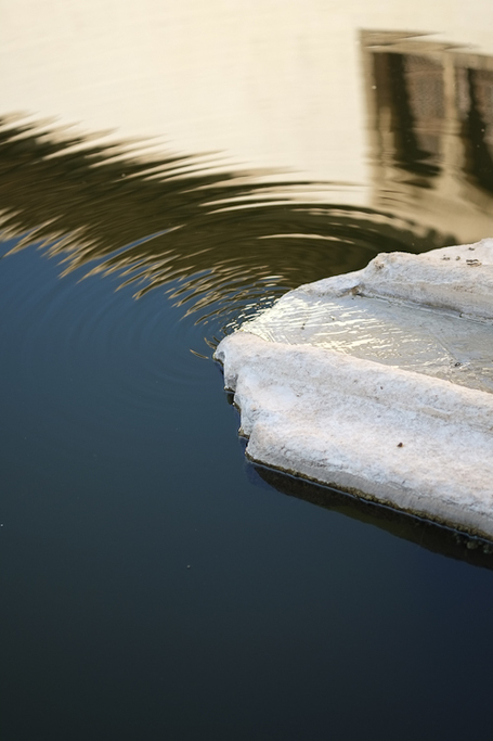 Fujifilm X-Pro1, Test - Samples by Spanish DSLR MAGAZIN | Google translation | Fuji X-Pro1 | Scoop.it