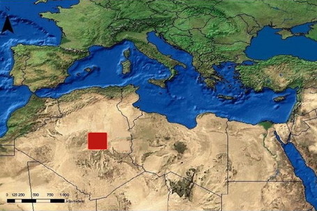 What the Arabs know about energy that Americans don't | Combating Climate Change | Scoop.it