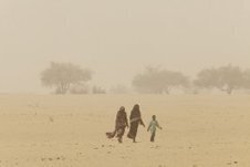Oxfam France - Dossier de presse - Crise alimentaire au Sahel | Catastrophes naturelles et humanitaires dans le monde | Scoop.it