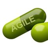 Agile Software Development
