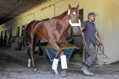 Governor Cuomo has started weaning NYRA from the public dole&nbsp; | Horses | Scoop.it
