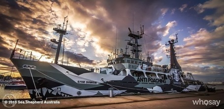 Sea Shepherd Conservation Society - Google | Making a difference in the World | Scoop.it