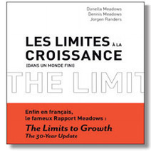 Les limites de la croissance : le Rapport Meadows francis&eacute; | Objection de croissance | Scoop.it
