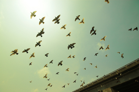 11 Must-Know Tips and Tricks for Twitter - TNW Social Media | Online Community | Scoop.it