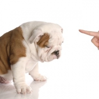 3 Best Ways to Say 'No' | Operational excellence | Scoop.it