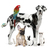 For Pet Lovers