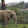 wildlife news and stories