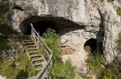 Entire genome of extinct human decoded from fossil | Skylarkers | Scoop.it