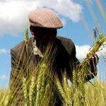 White House Enlists 45 Firms to Give $3 Billion to Grow Food for World&rsquo;s Poor | Food and Nutrition | Scoop.it