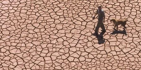 La Banque mondiale redoute le "cataclysme" d'une hausse de 4 &deg;C de la temp&eacute;rature | Des liens en Hist-G&eacute;o | Scoop.it