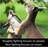 Education, Curiosity, and Happiness