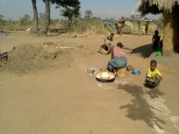 Moringa gaining ground in Malawi | Miracle Moringa | Scoop.it