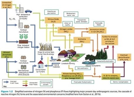 Industrial Corporate Ag Triggers Devastating 'Web' of Pollution | YOUR FOOD, YOUR HEALTH: Latest on BiotechFood, GMOs, Pesticides, Chemicals, CAFOs, Industrial Food | Scoop.it
