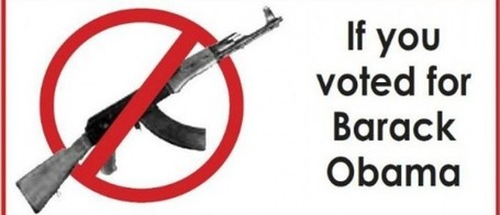 Arizona Gun Shop Tells Obama Voters to &lsquo;Turn Around and Leave&rsquo; | News You Can Use - NO PINKSLIME | Scoop.it