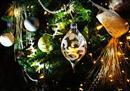 Invasive beetle hitches a lift in B.C. liquor store decorations imported from China | Plant Pests - Global Travellers | Scoop.it